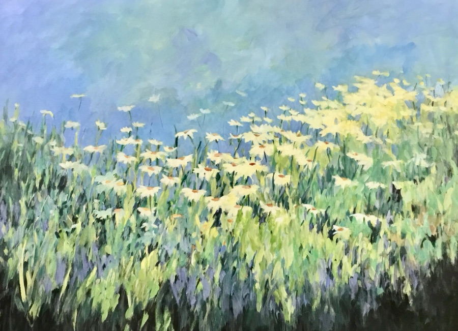 Daisy Field