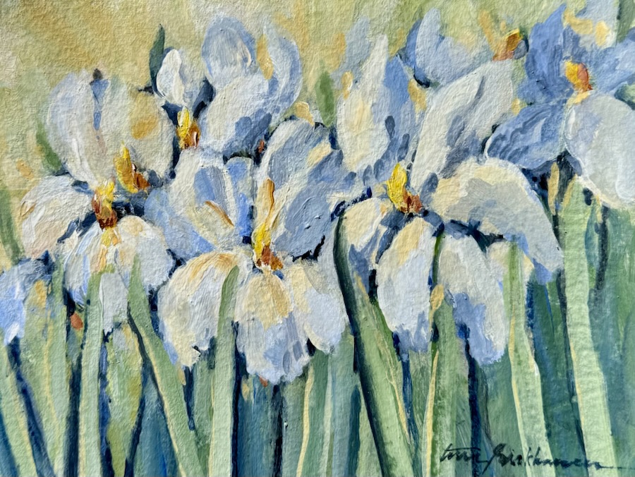 Iris Garden