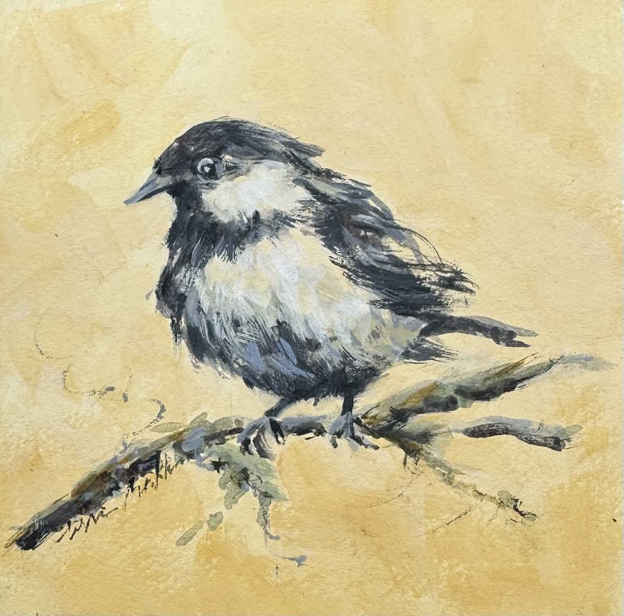 Little Wren