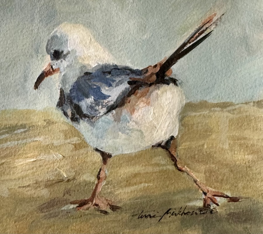South End of a Northbound Bird